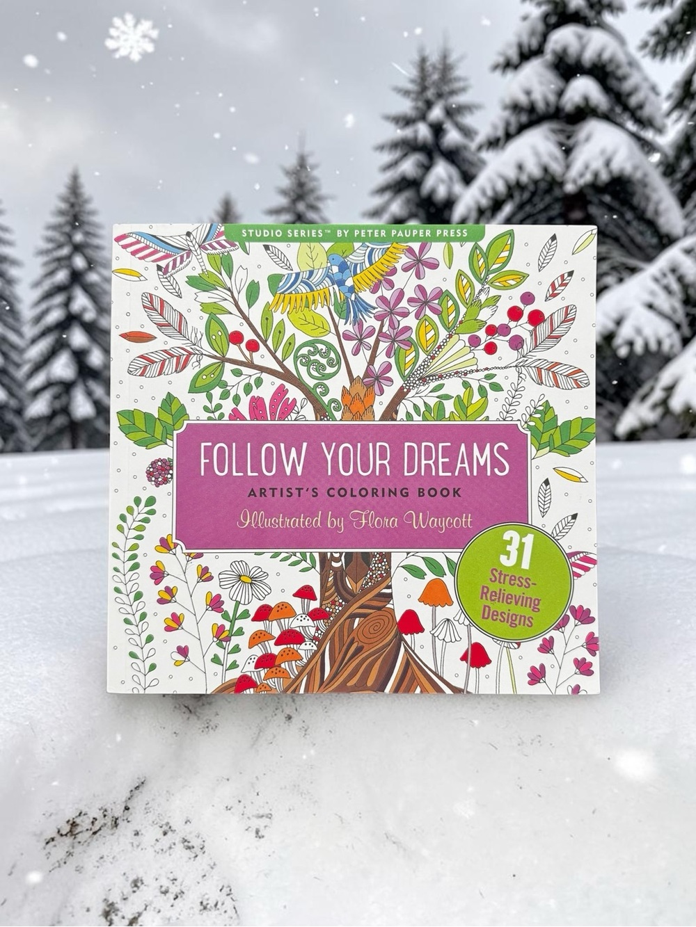 Follow Your Dreams Artist Coloring Book Stress Relief 31-Designs by Waycott NEW!